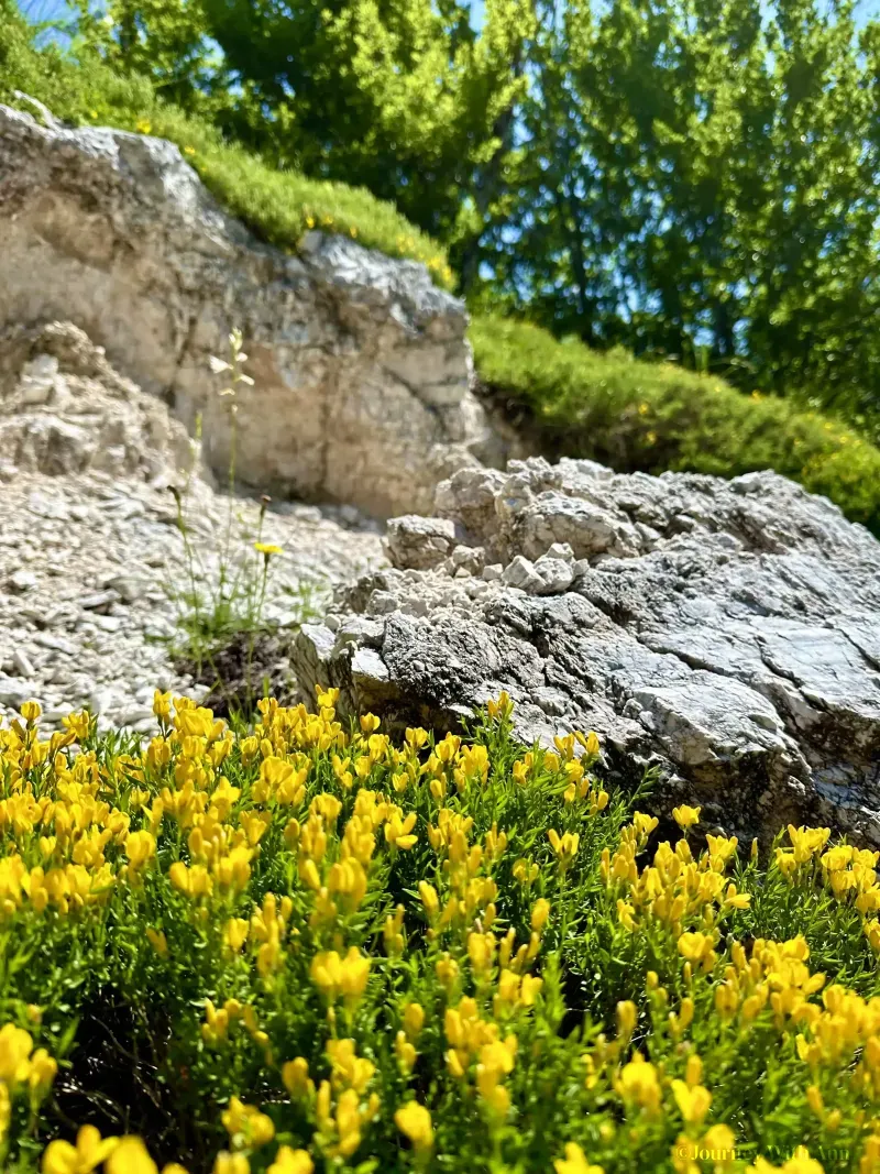 Lovcen National Park in Montenegro