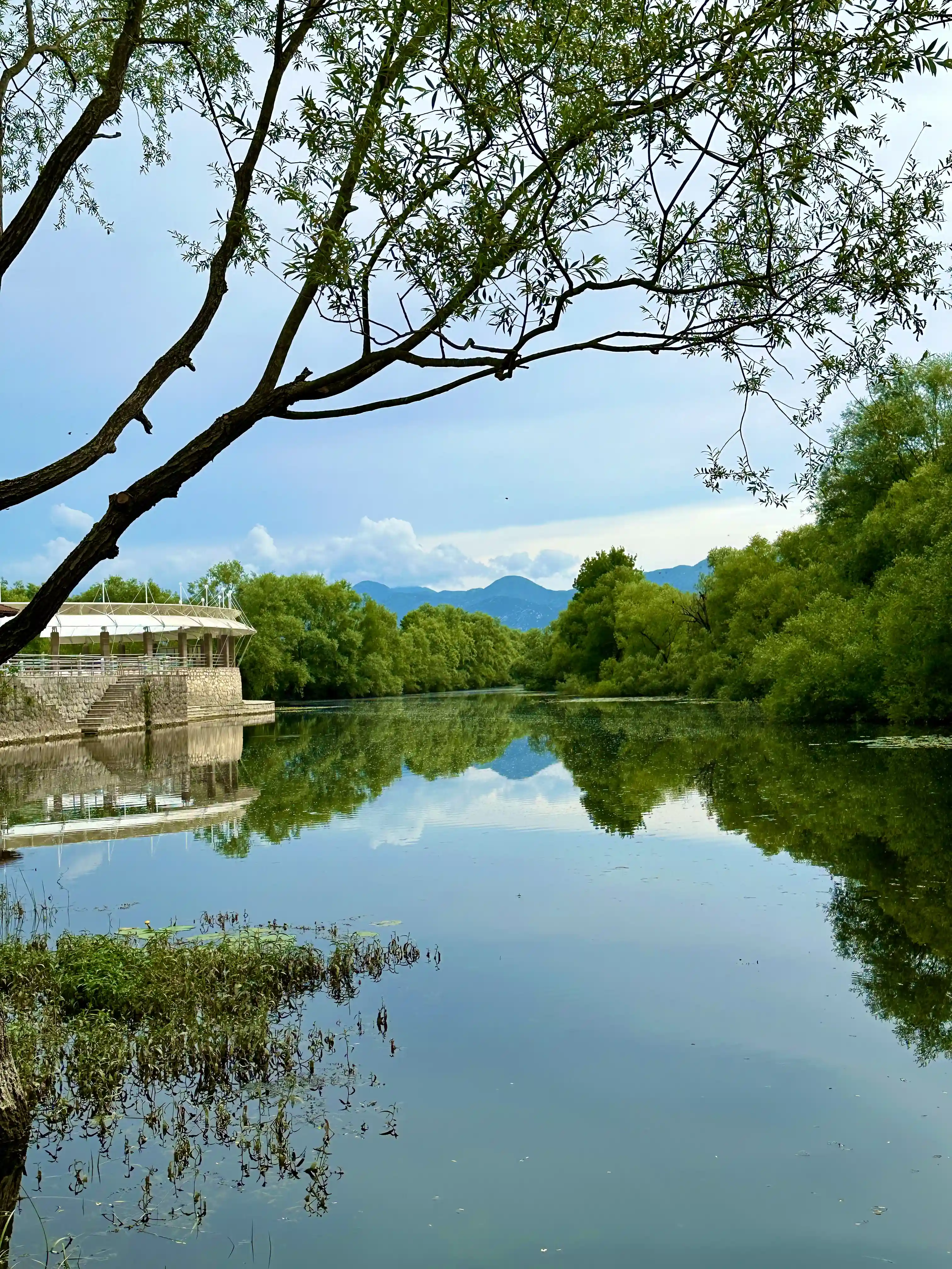 Imagine Skadar Lake in Montenegro