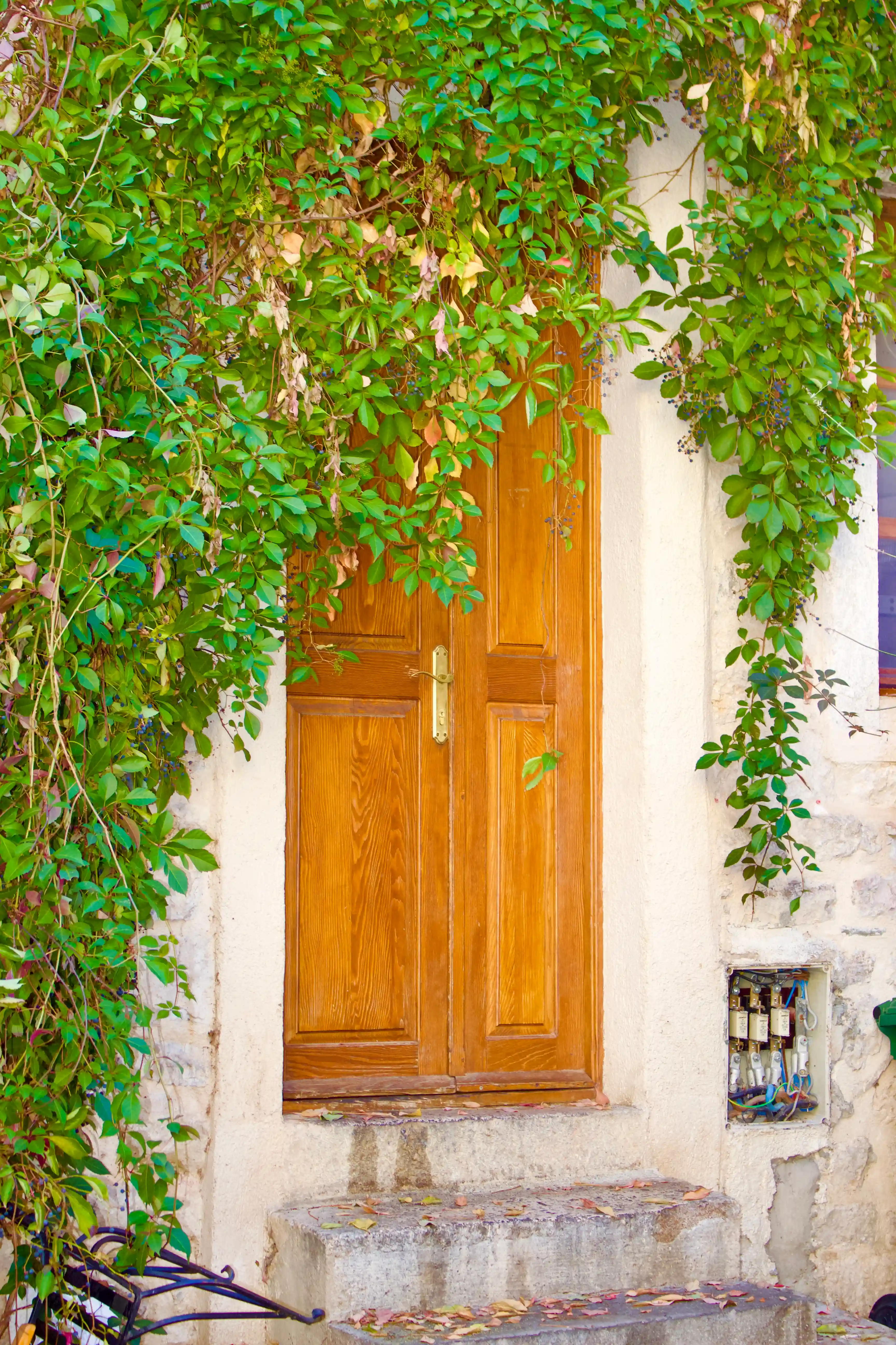 Imagine Kotor Old Town hotels in Kotor