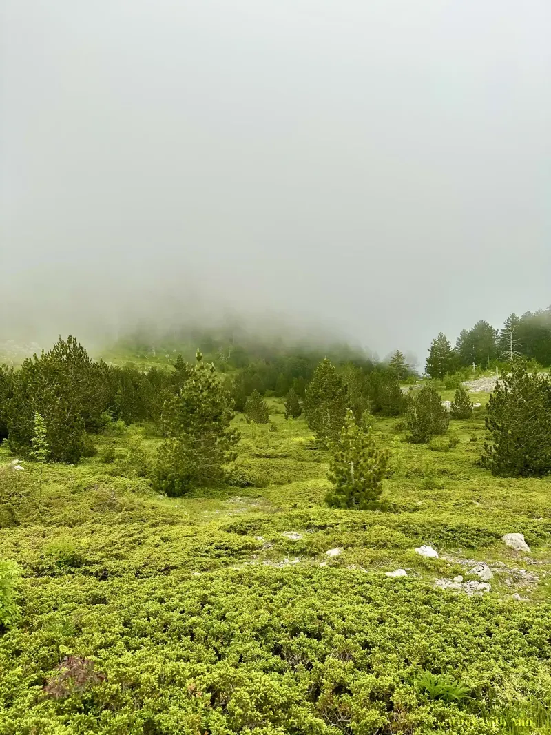 Gorlo Sokolovo in Montenegro