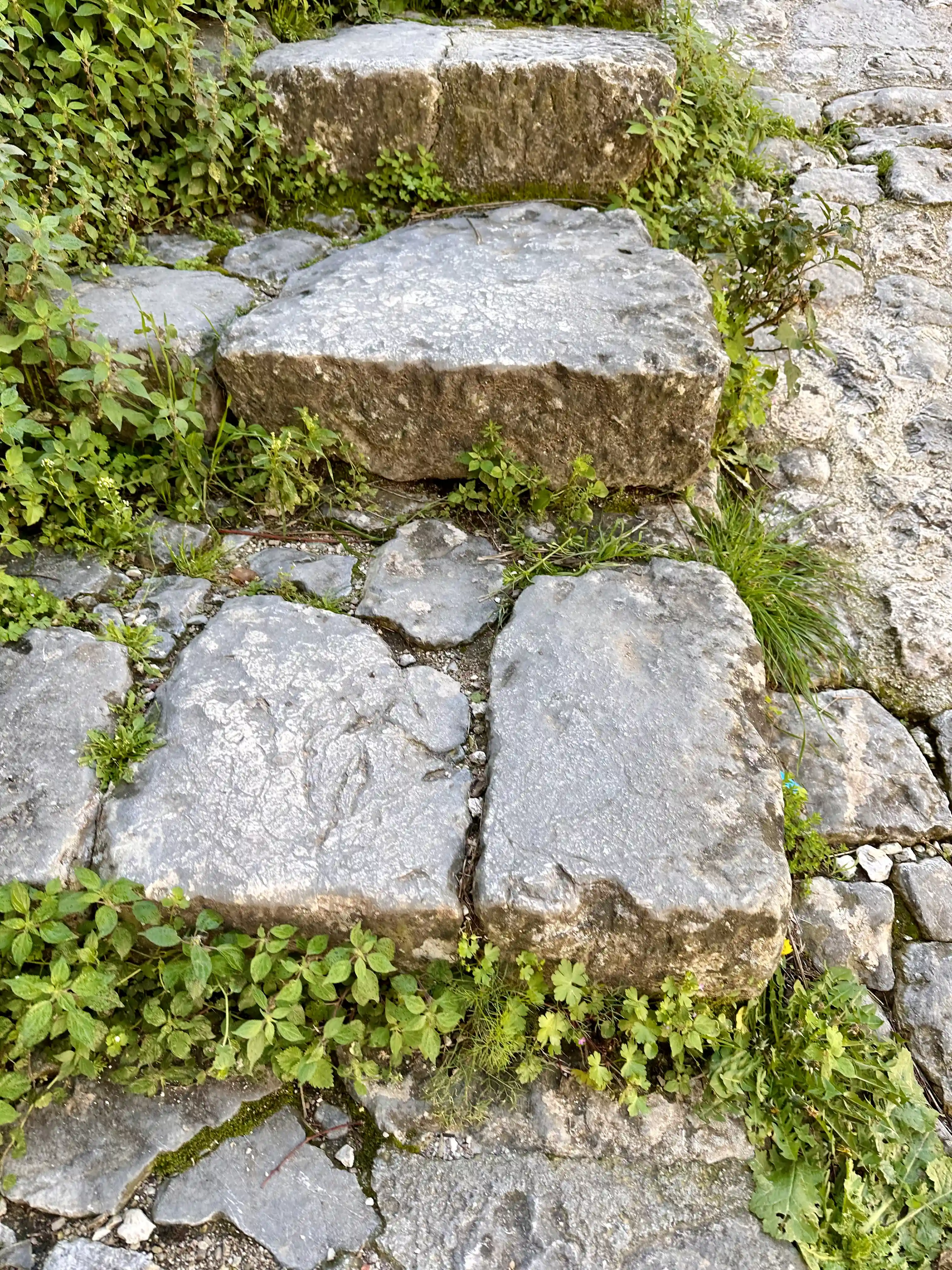 Imagine How long does the Ladder of Kotor take to hike? in Kotor