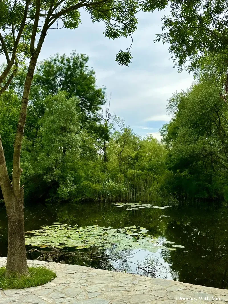 Skadar Lake in Montenegro