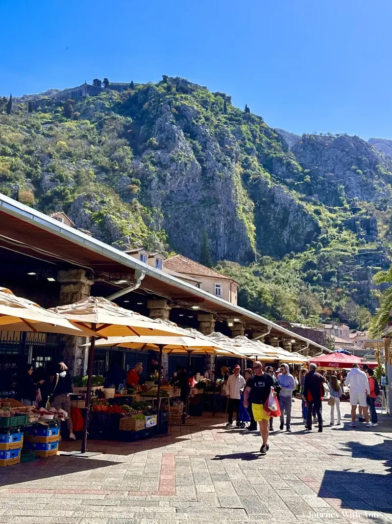 Do You Need A Car In Kotor? in Kotor