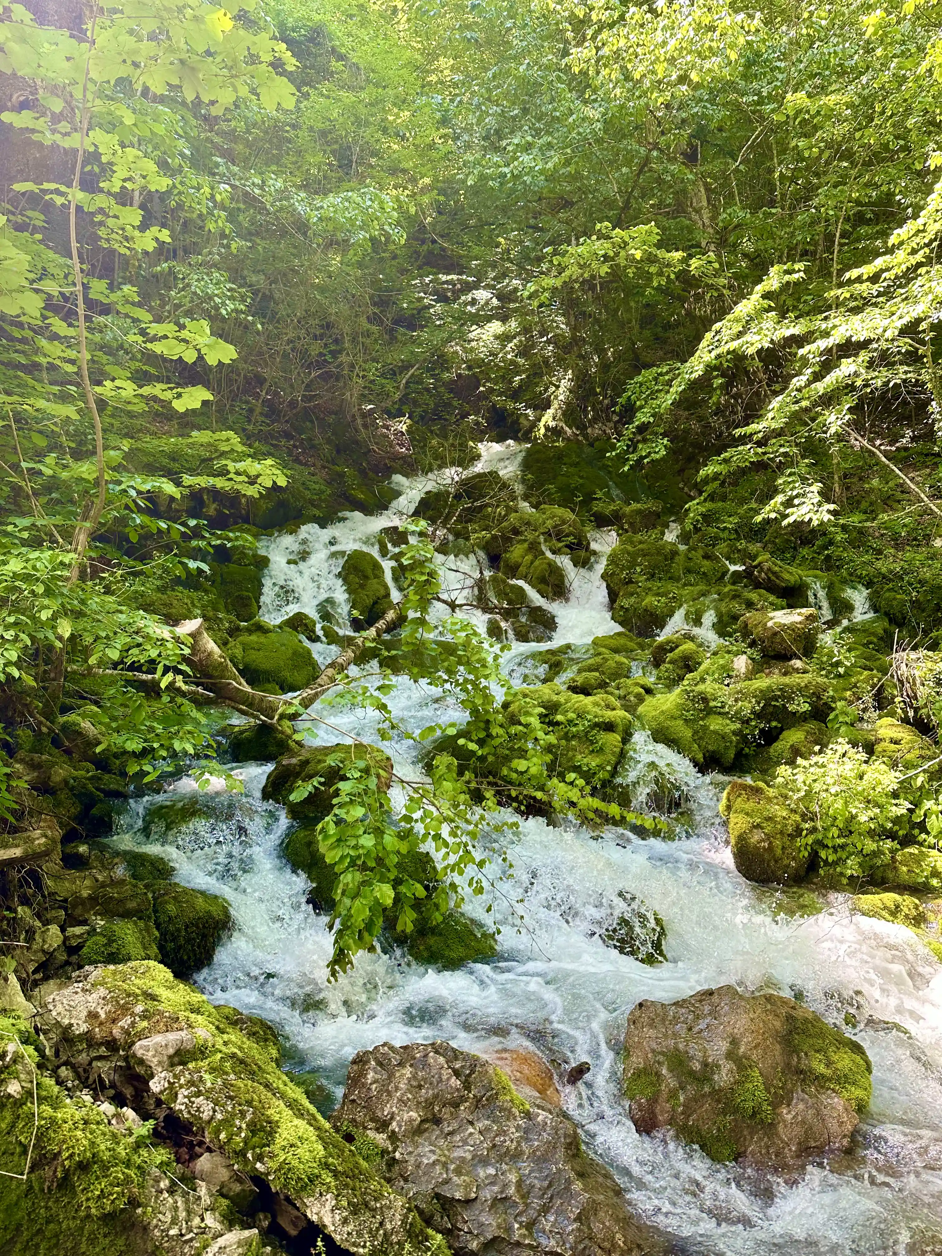 Imagine Durmitor National Park in Montenegro